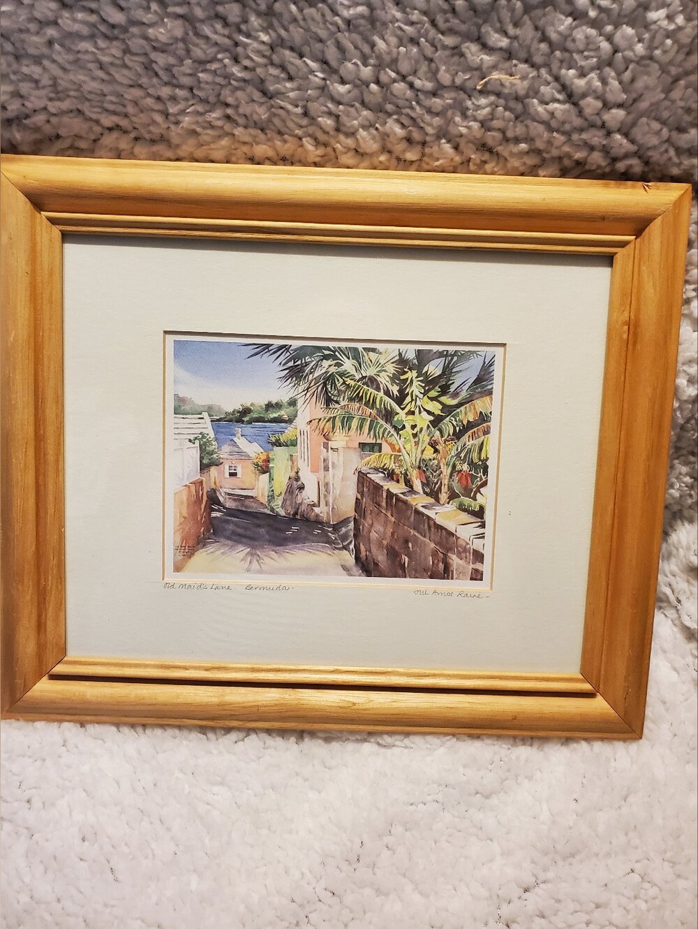 Old Maid’s Lane, St. George’s Bermuda Jill Amos Raine Watercolor COA Framed Art